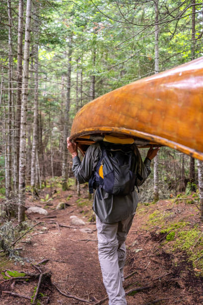 istock A man portaging a canoe in a forest of Quebec. 1386527285