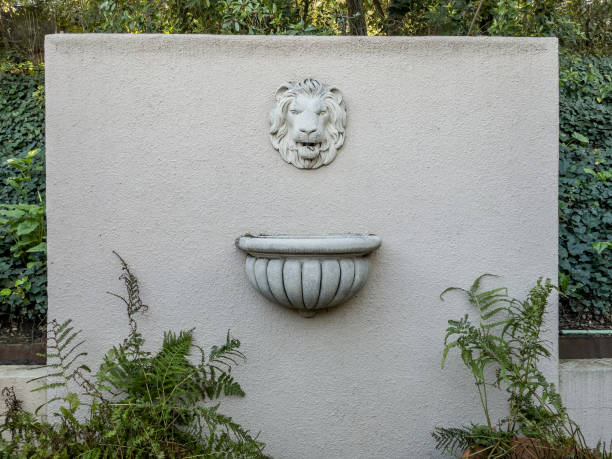 Backyard stucco wall with a lion fountain