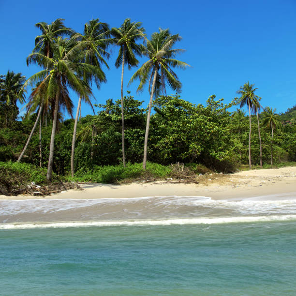 istock Close up empty tropical island sandy beach and sea 1386533427