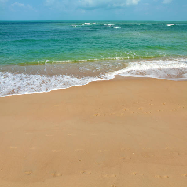lonely footprints in the sand going from the sea. vacation concept,