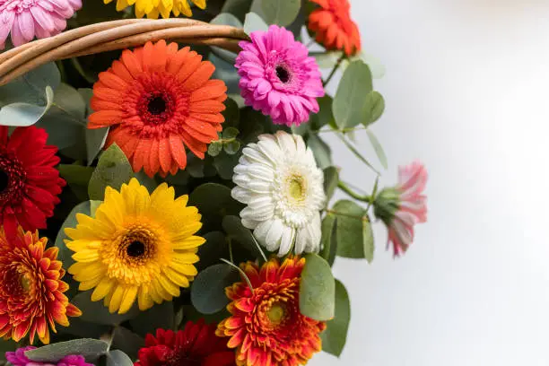 Flower arrangement with fall color carnations and daisies in basket