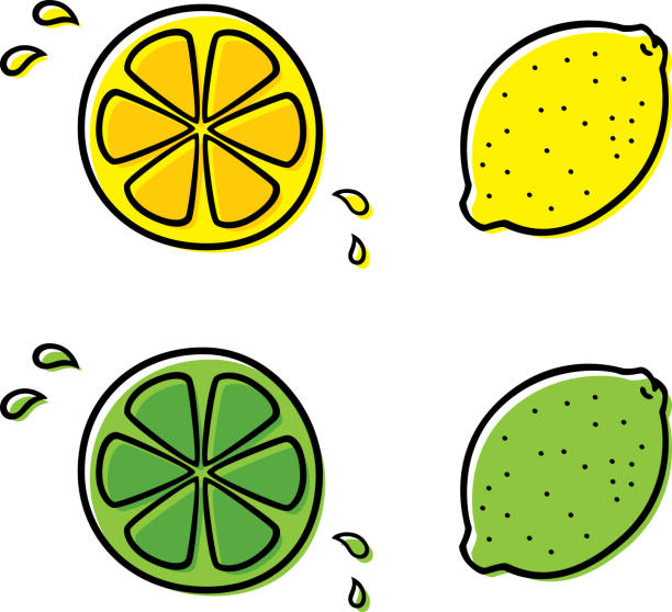 Lemon and Lime Doodles 2 Vector illustration of a hand drawn lemon and limes against a white background. freshly squeezed stock illustrations