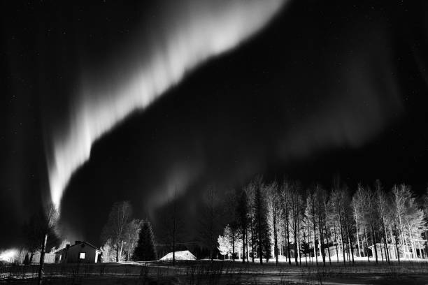istock Northern Lights over Muonio, Finland (black and white) 1386537015