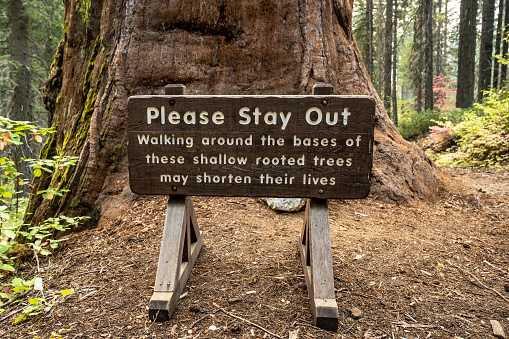 Please Stay Out Sign In Merced Grove of Sequoia Trees in Yosemite