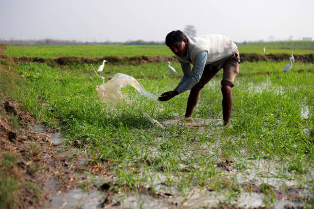 istock Farmer working in green field during springtime portrait outdoor 1386551091