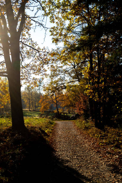 istock Narrow Hiking Path Through Autumnal Landscape In Austria 1386558267