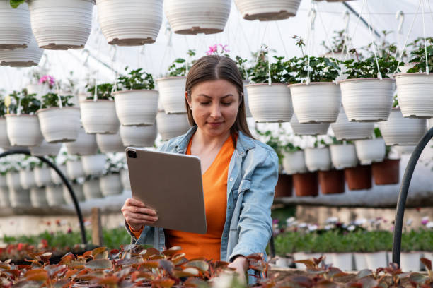 istock Young flower shop owner preparing a customer order 1386573927