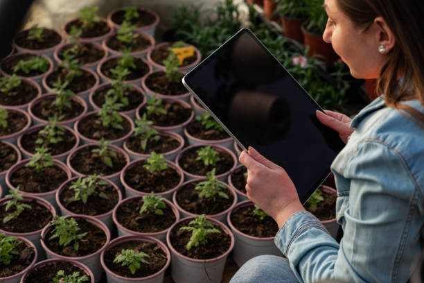 istock Using modern technology in a flower shop greenhouse 1386574811
