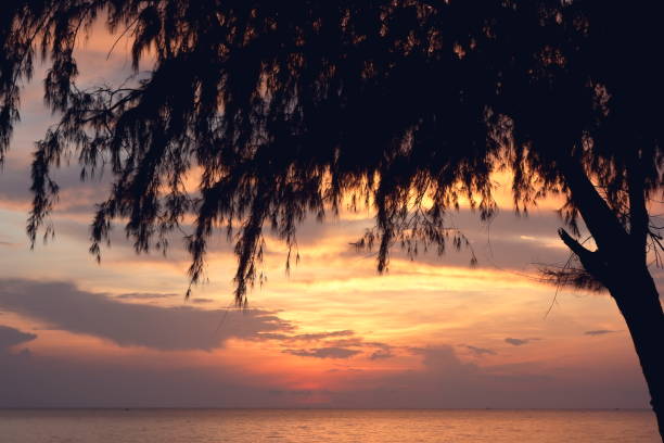 istock Morning sunrise from the sea in gray clouds 1386576468