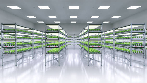 istock indoor farm system raised plants on shelves growth with led light 1386579352