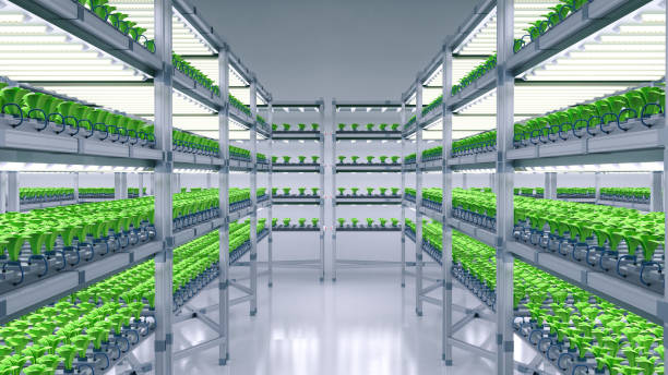 istock indoor farm system raised plants on shelves growth with led light 1386579354