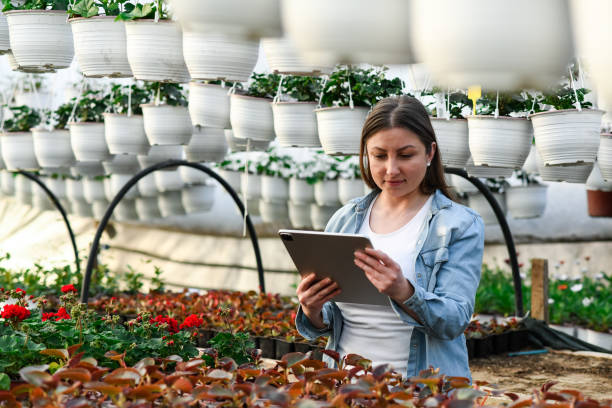 istock Young florist inspecting plants and flowers using a tablet device in a greenhouse 1386580370