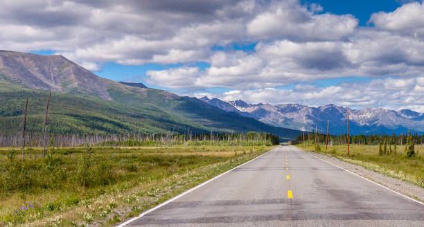 istock Alaska Highway West of Tok 1386580763