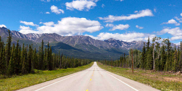 istock Alaska Highway West of Tok 1386581265