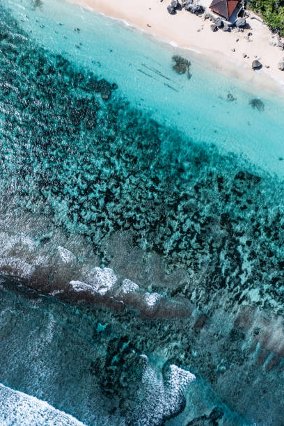 istock Bali shores from above - blue transparent ocean and white beach. 1386585089