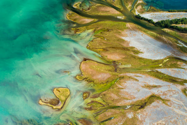 istock Amazing natural beauty, majestic natural pattern. 1386591941
