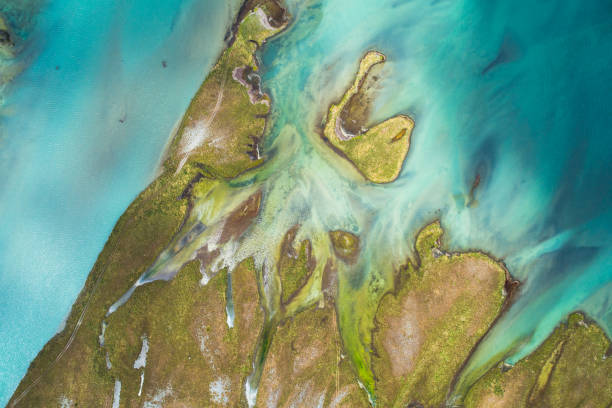 istock Nature from aerial view. 1386591997