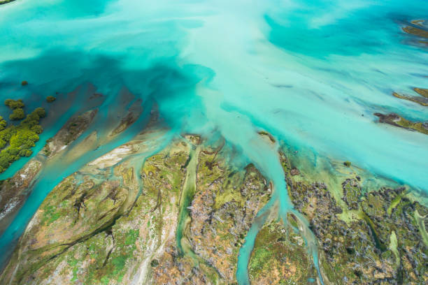 istock Top view of flowing river natural background. 1386592002