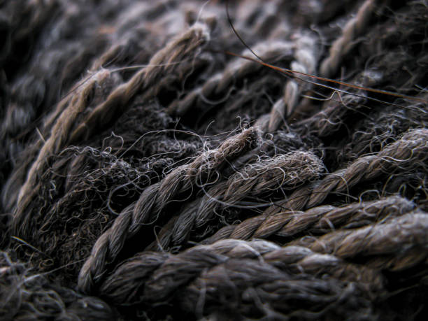 istock Macro Carpet Fibers vol.2 1386592119