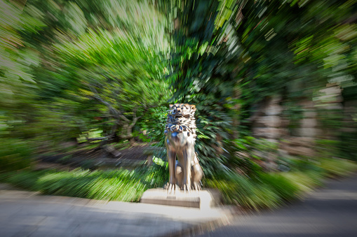 Zoom blur - intentional camera movement composition centering on a Chinese lion  garden ornament, imparting the concept of an explosion or a sense of individuality.