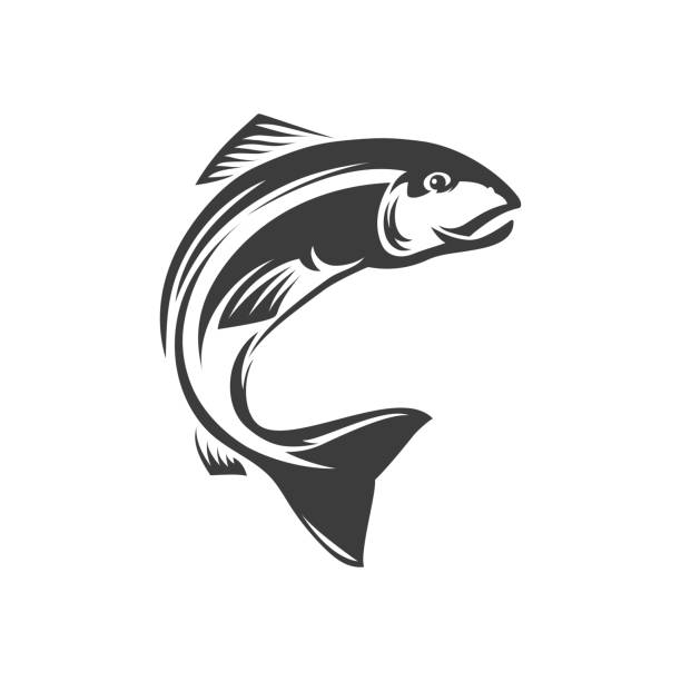 Salmon freshwater fish, seafood, marine food icon Salmon ray-finned underwater animal freshwater fish isolated monochrome icon. Vector seafood, marine food diet fish. Fishery mascot, trout fish grayling whitefish char fishing sport trophy fish clip art black and white stock illustrations