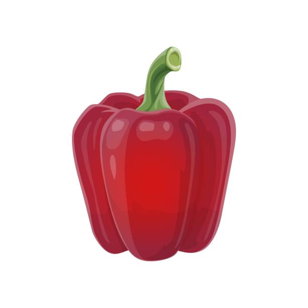 ilustrações, clipart, desenhos animados e ícones de vermelho pimentão vetor natural jardim vegetal - green bell pepper illustrations
