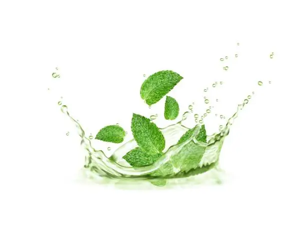 Vector illustration of Crown herbal tea splash with mint leaves and wave