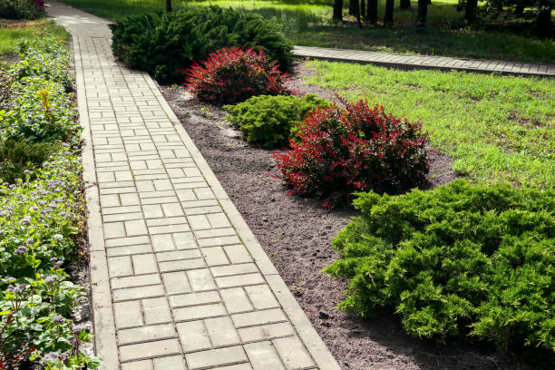 istock Path in the Park with beautiful ornamental shrubs 1386619402