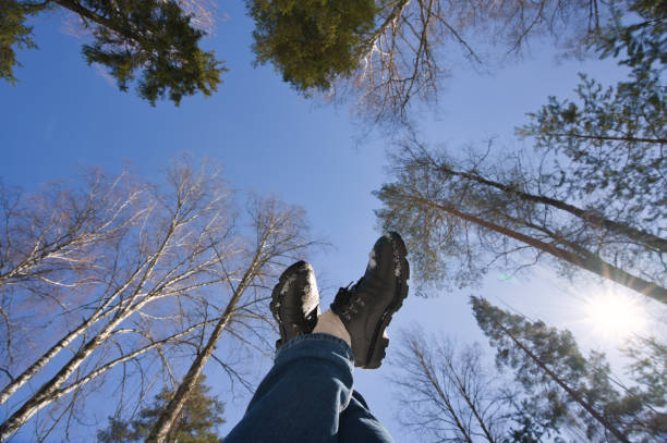 istock Happy emotions in the spring in the forest 1386620392