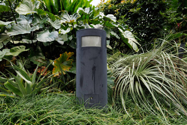 istock Lamp along a path in a public park 1386626545