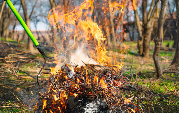 istock Burning Garden Waste In Spring 1386631154