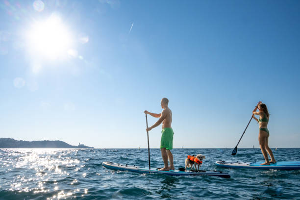 istock Pair riding on paddleboards with small dog 1386632506