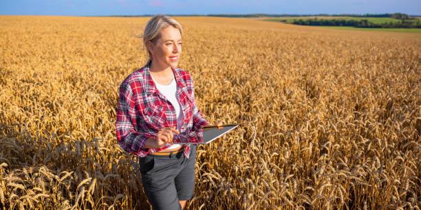 istock Female farmer using tablet computer in a wheat field, preparing for harvesting 1386635846