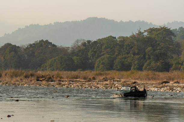 wildlife safari or scenic game drive gypsy or jeep half in water of ramganga river crossing dhikala forest  jim corbett national park tiger reserve - jim corbett national park 個照片及圖片檔