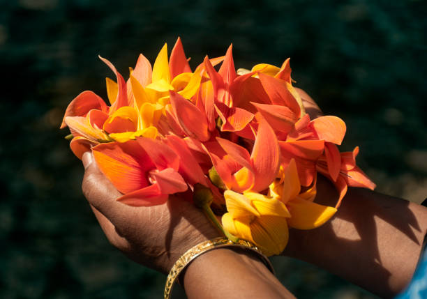 istock Bouquet of palash flowers during spring 1386638690