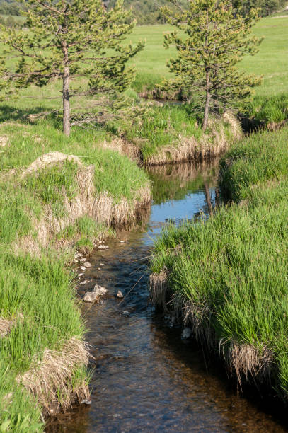 istock River in fields in the country 1386638723