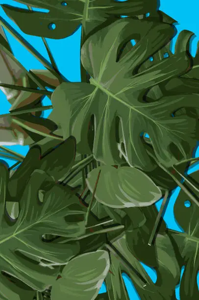 Vector illustration of Seamless pattern with Monstera leaves