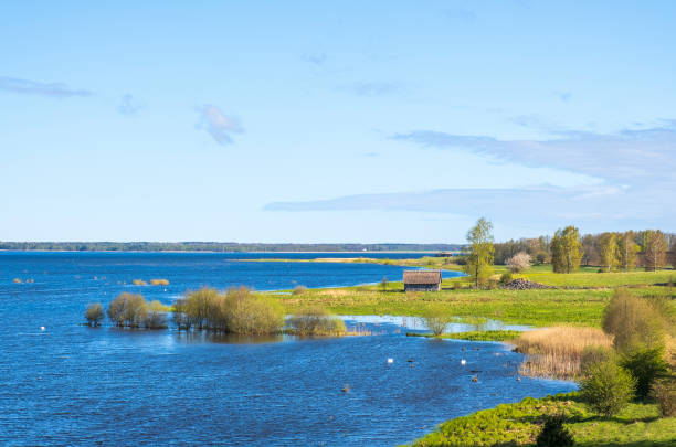 istock Barn on a meadow by a lake at springtime 1386644247