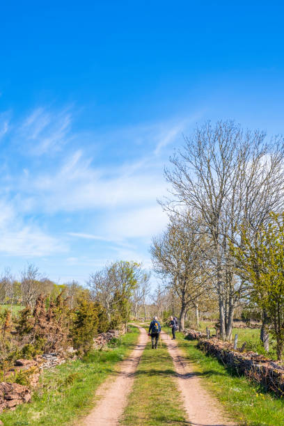 istock Hiker on a dirt road in a beautiful spring landscape 1386644301
