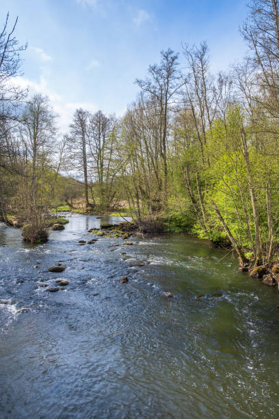 istock River in a lush trees in the forest in spring 1386644367