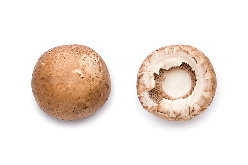 Flying in air champignon mushrooms and champignon mushroom slices isolated on white background.