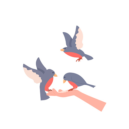 Birds sit on the arm holding food. Hand-feeding birds. Day of Birds. Vector illustration