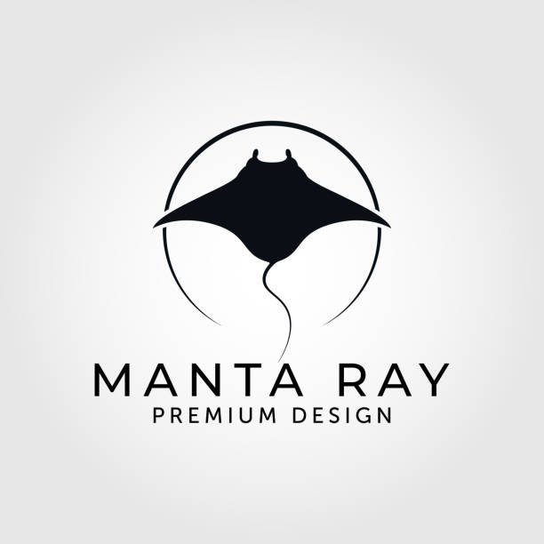 illustrations, cliparts, dessins animés et icônes de conception d’illustration vectorielle de raie manta noire - manta ray