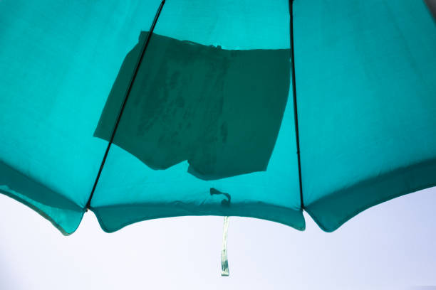 maillot de bain pour homme sur parasol - parasol pine photos et images de collection