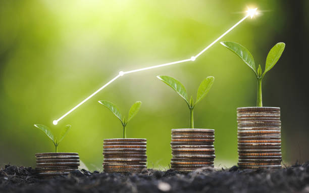 Seedling are growing on coins are stacked and the seedlings in Concept of finance And Investment of saving money or financial and business growth for profit stock photo