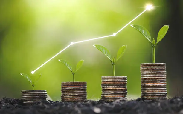 Photo of Seedling are growing on coins are stacked and the seedlings in Concept of finance And Investment of saving money or financial and business growth for profit