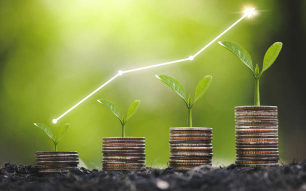 seedling are growing on coins are stacked and the seedlings in concept of finance and investment of saving money or financial and business growth for profit - investment imagens e fotografias de stock