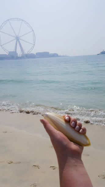 Jumeirah beach and Dubai city skyline, UAE