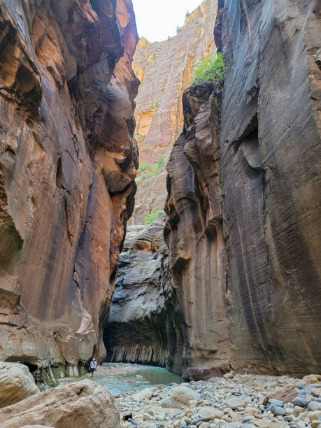 istock Zion National Park Narrows Trail 1386693077