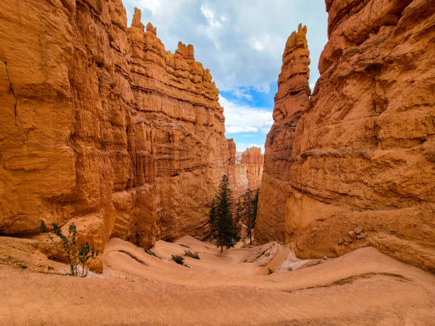 istock Bryce Canyon National Park 1386693159